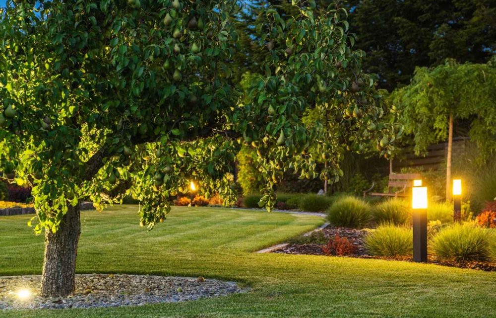 How Landscape Lighting Can Turn Your Backyard Into a Luxury Retreat
